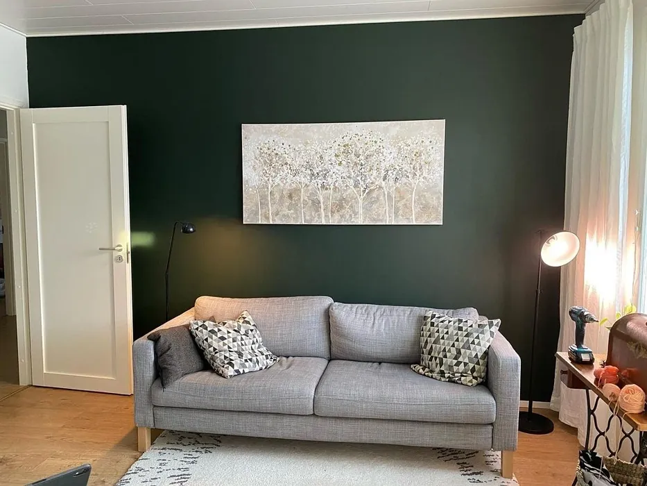 Bedroom accent wall Tikkurila N378 Ficus review