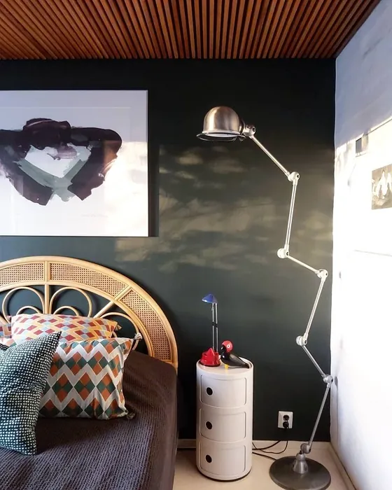 Accent wall Tikkurila N378 Ficus review