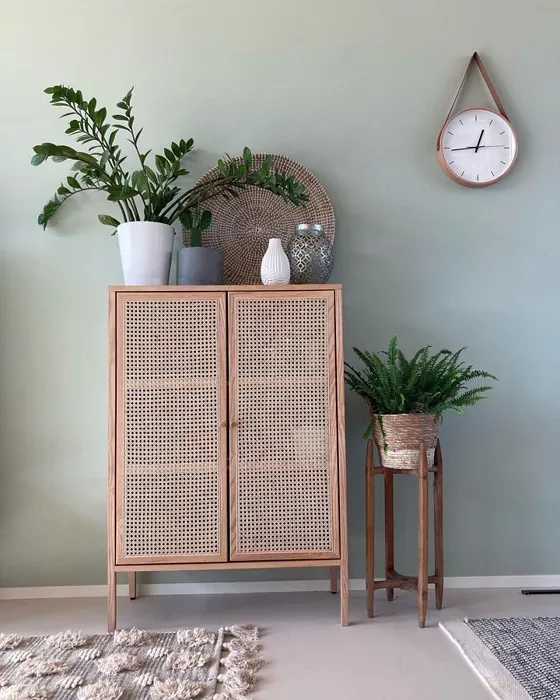 Tikkurila Flanelli J446 kokemuksia