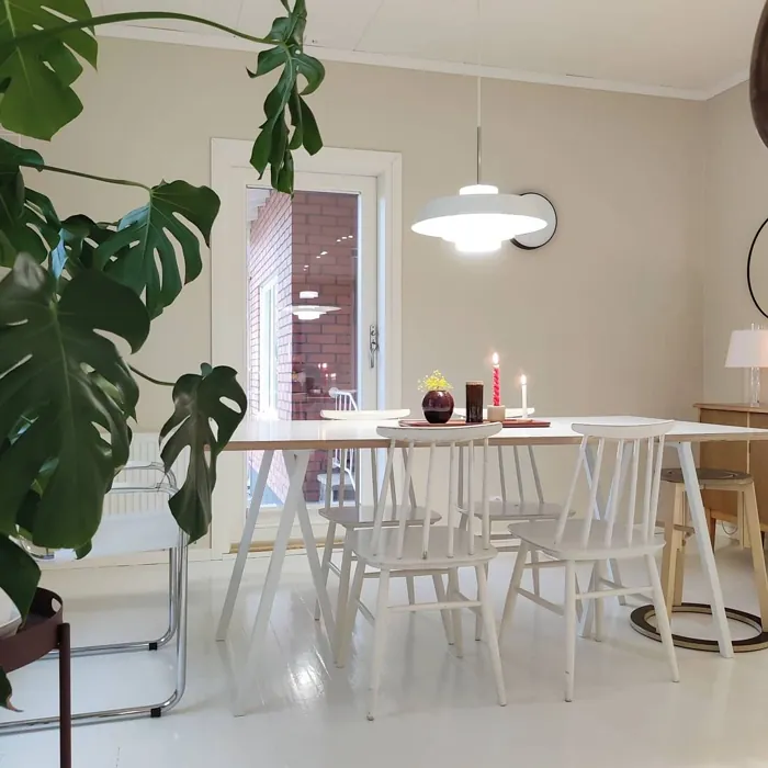 Tikkurila G458 ruokasali väriarvostelu