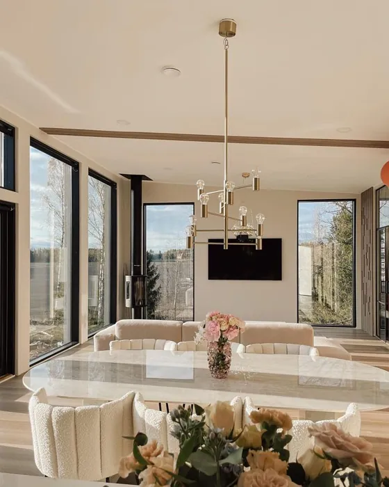 Tikkurila G482 olohuone sävy kokemuksia