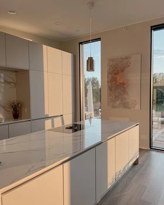 Tikkurila G482 keittiö kuva