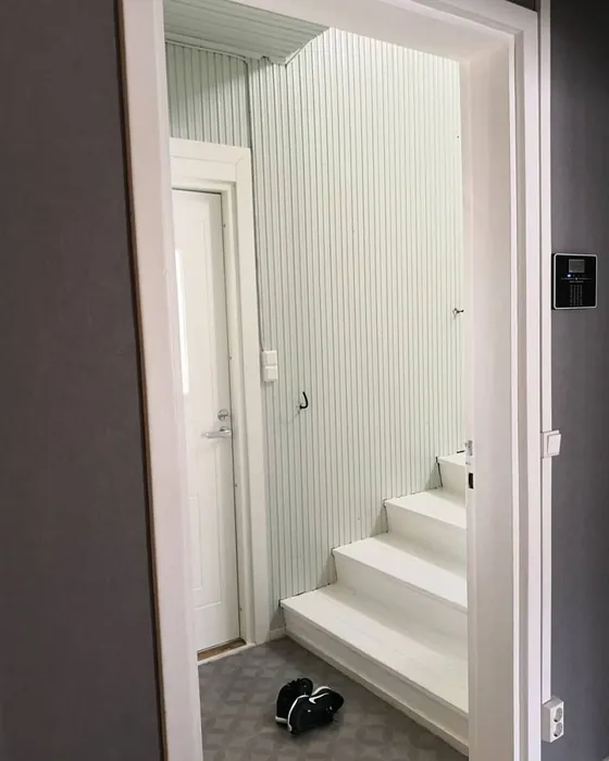 Tikkurila Gorgonzola käytävällä sävy