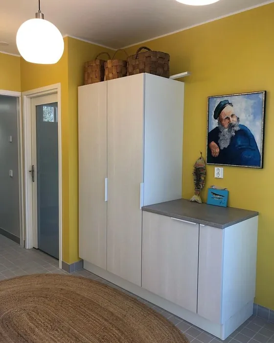 Tikkurila Greippi S302 kokemuksia