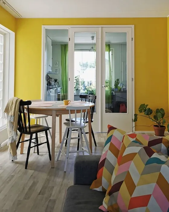 Tikkurila Greippi S302 ruokasali