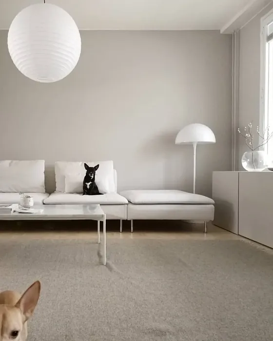 Sisämaalit Tikkurila  H486