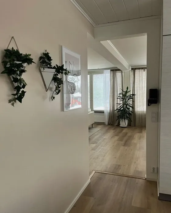 Tikkurila Herkkusieni käytävällä sävy