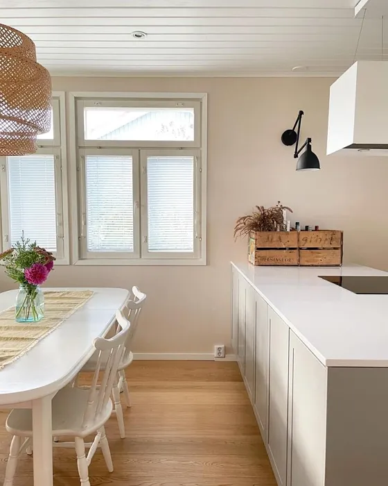 Tikkurila Herkkusieni keittiö sävy