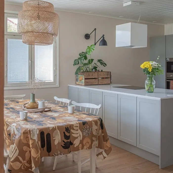 Tikkurila Herkkusieni ruokasali sävy