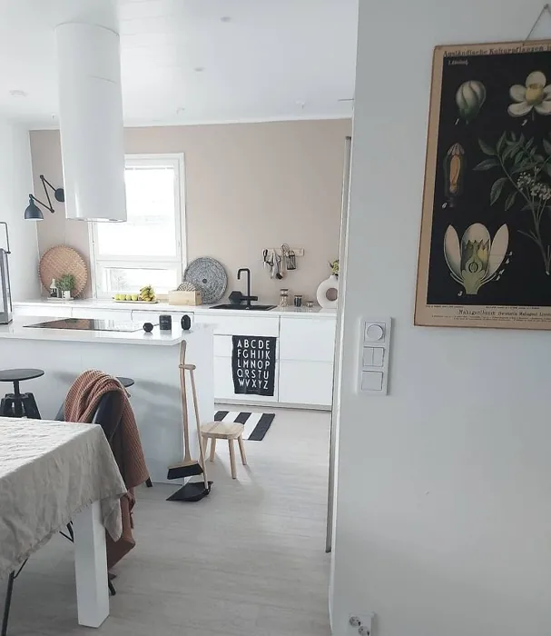 Tikkurila Hiekkakivi X463 keittiö