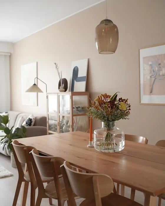 Tikkurila Hiekkakivi keittiö sävy