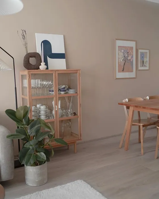 Tikkurila X463 keittiö sisusta