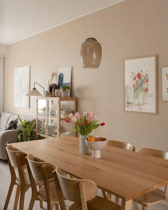 Tikkurila X463 ruokasali sävy kokemuksia
