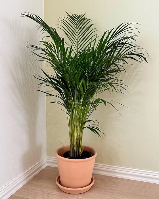 Tikkurila Huhtikuu makuuhuone kuva