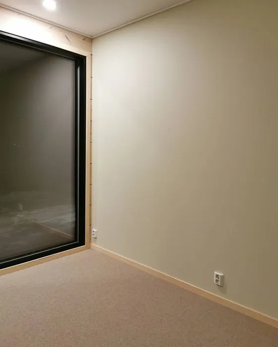 Tikkurila Ikuisuus H455 seinämaalaus