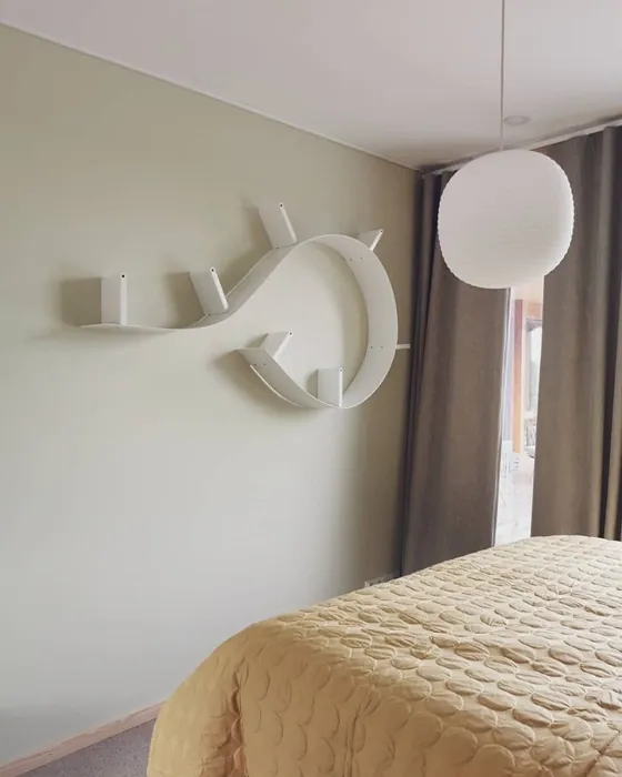 Tikkurila Ikuisuus H455 arvostelu