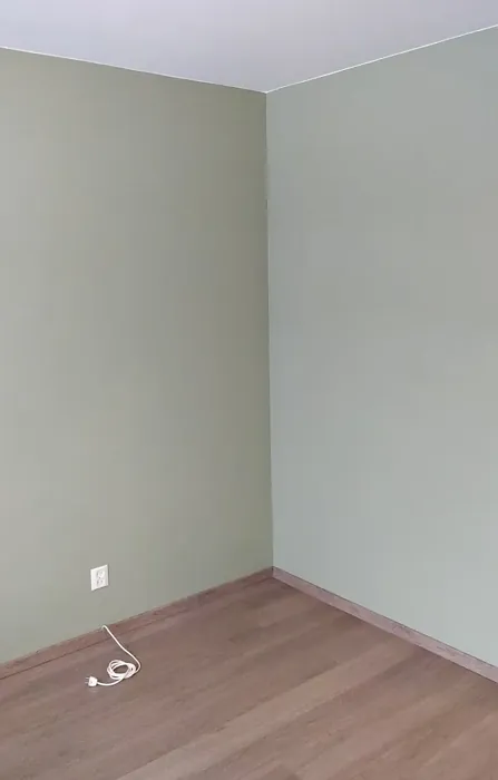 Sisämaalit Tikkurila Jade V449