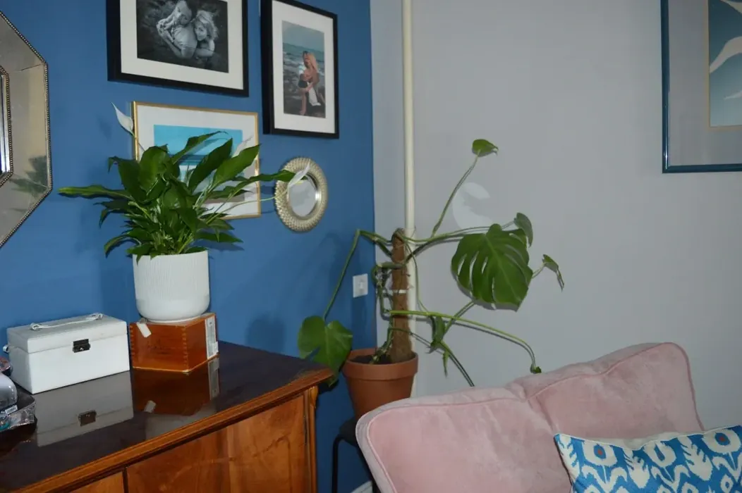 Sisämaalit Tikkurila  K431