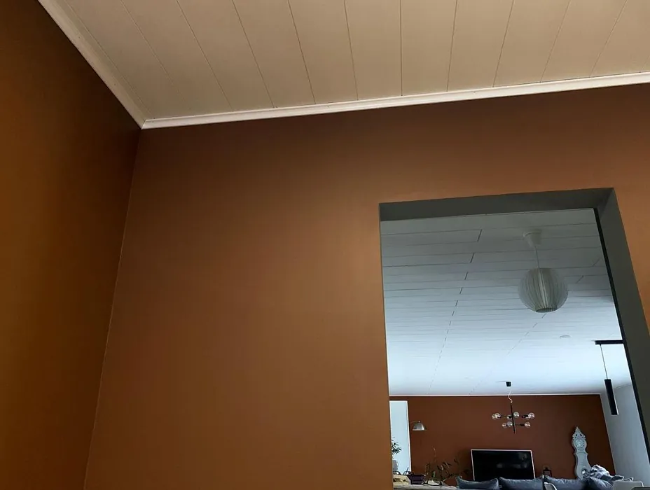 Tikkurila K462 olohuone sävy