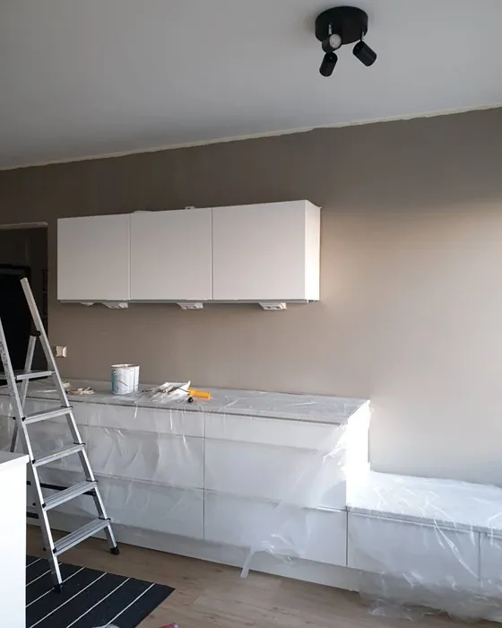 Tikkurila K486 olohuone sävy