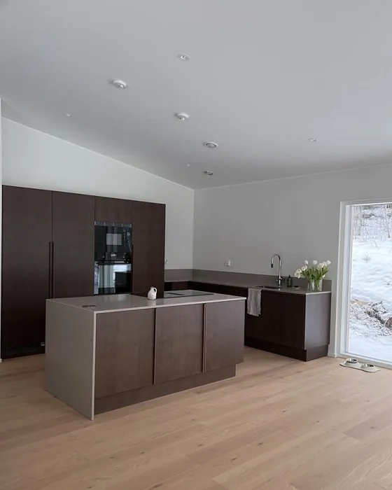 Tikkurila F484 keittiö 