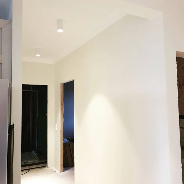 Tikkurila F300 käytävällä 