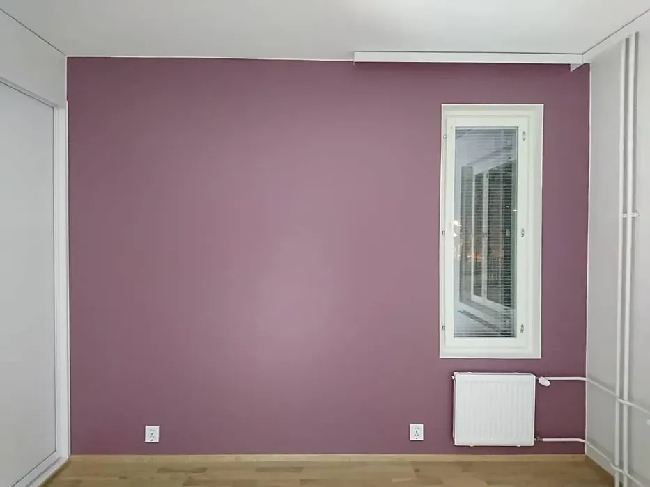 Sisämaalit Tikkurila Kanerva V425