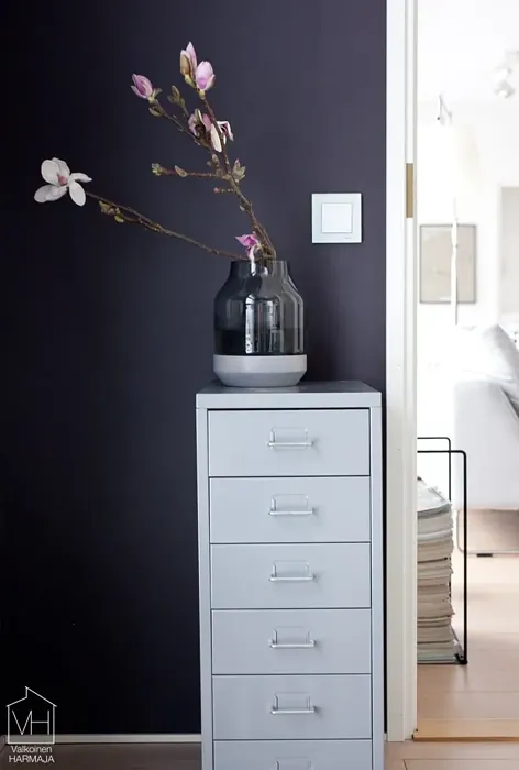 Sisämaalit Tikkurila Kätkö X502