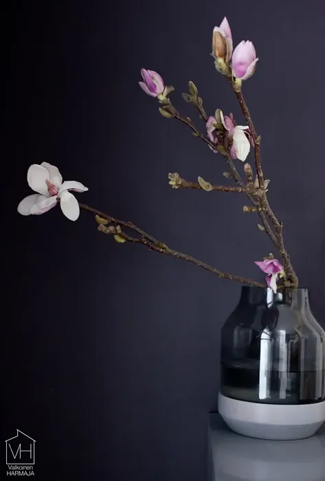 Sisämaalit Tikkurila Kätkö X502