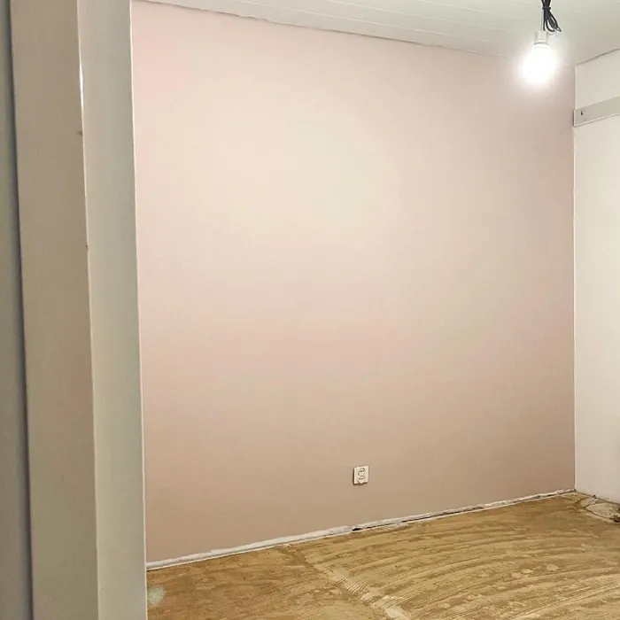 Tikkurila Empress X477 accent wall