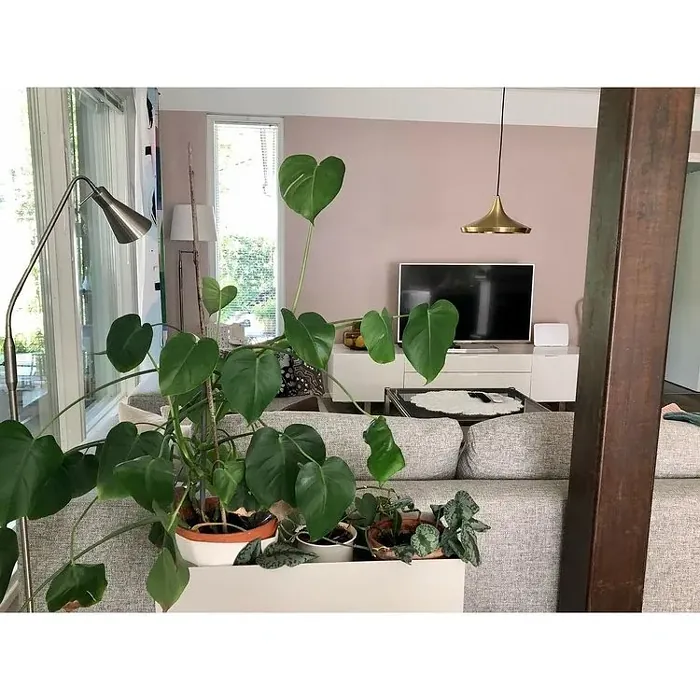 Sisämaalit Tikkurila Keisarinna X477