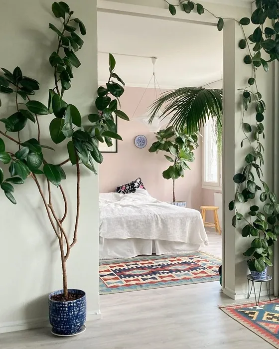 Tikkurila Empress X477 boho bedroom