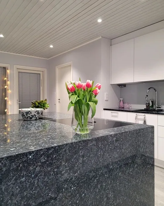 Tikkurila Ketju F428 keittiö