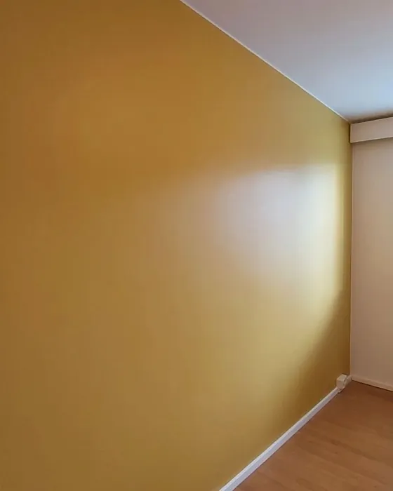 Tikkurila Kirnuvoi H392 korostusseinä