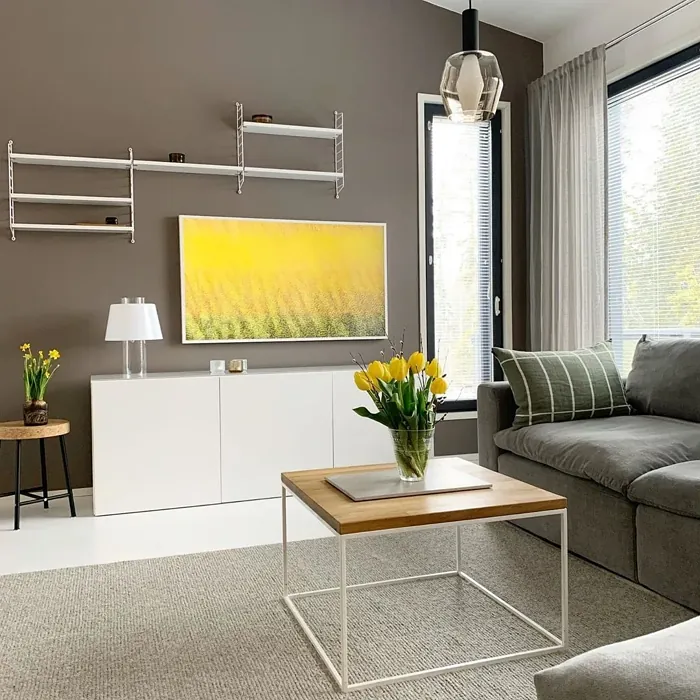 Sisämaalit Tikkurila Kontiainen L487