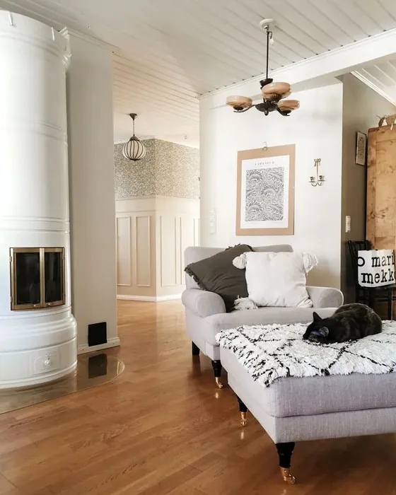 Tikkurila Y456 olohuone sisusta