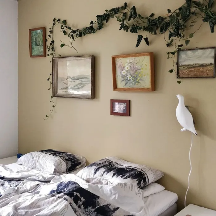 Tikkurila V459 makuuhuoneen korostusseinä sävy kokemuksia