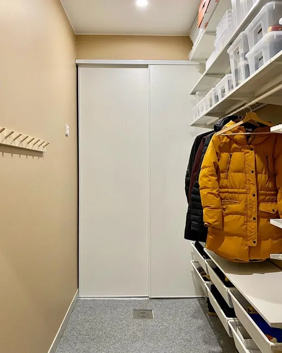 Tikkurila Kultamalmi seinämaalaus sävy
