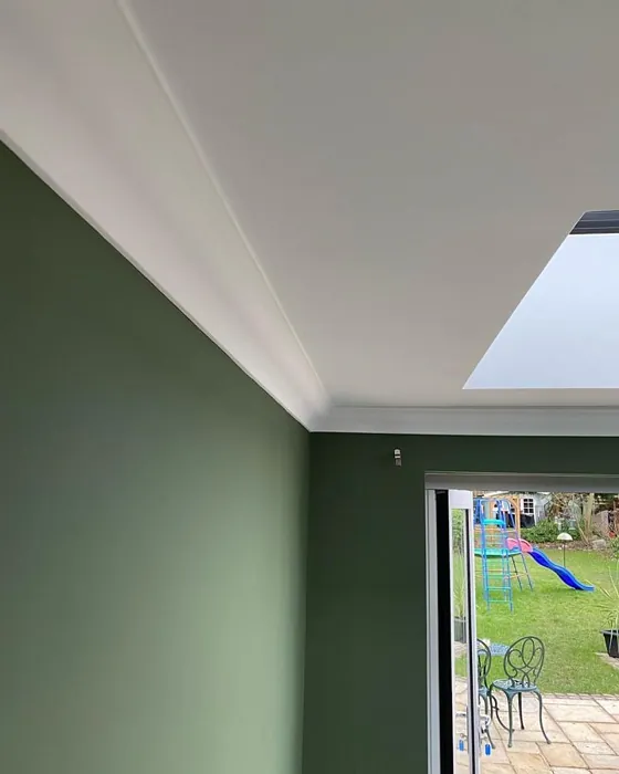 Tikkurila L449 olohuone sävy