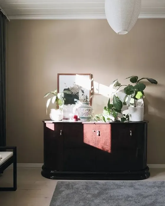 Classic edwardian interior with color Tikkurila Lama V466