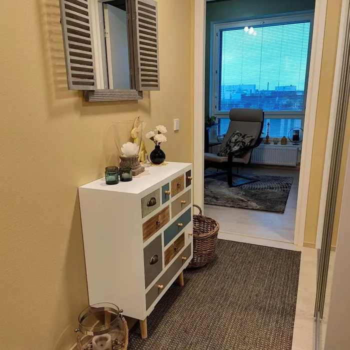 Tikkurila Expance X394 hallway