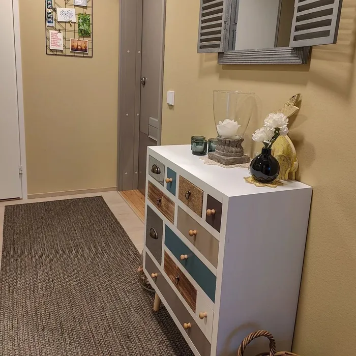 Tikkurila Expance X394 hallway