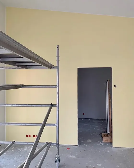 Sisämaalit Tikkurila Lemonade H300