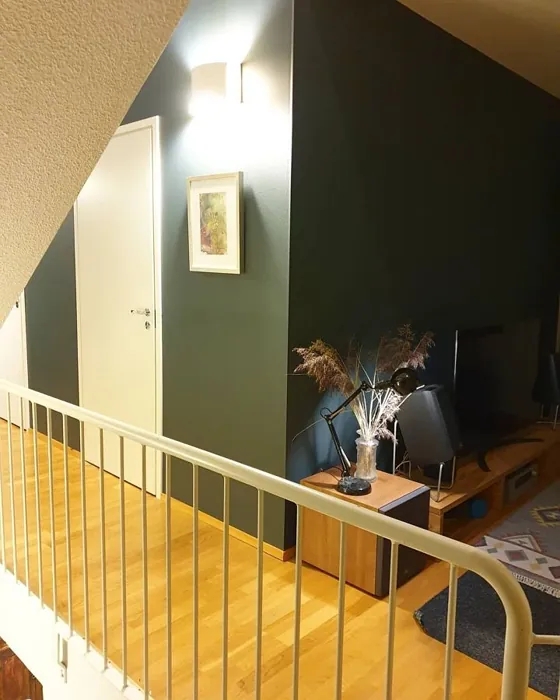 Tikkurila Linnunrata käytävällä sävy