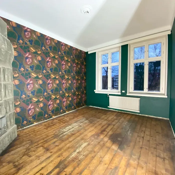 Tikkurila M371 korostusseinä 