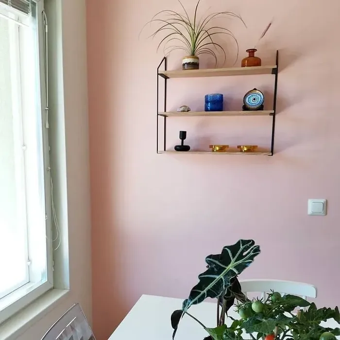 Sisämaalit Tikkurila Magnolia H320