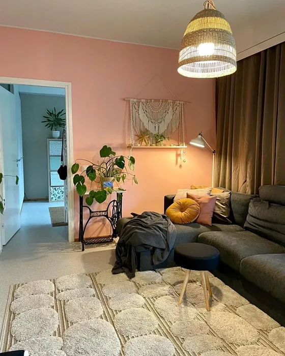 Tikkurila Magnolia H320 review