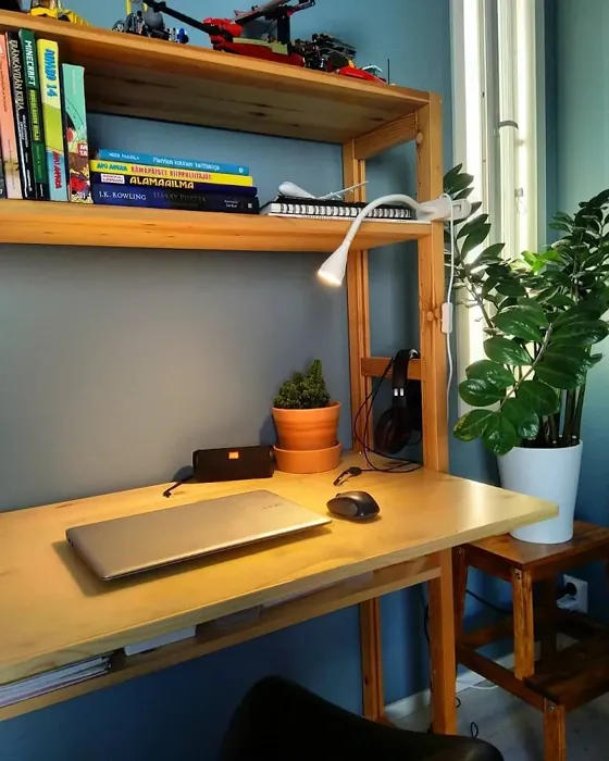 Sisämaalit Tikkurila Maininki L491