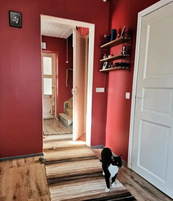Tikkurila Marmeladi käytävällä kokemuksia