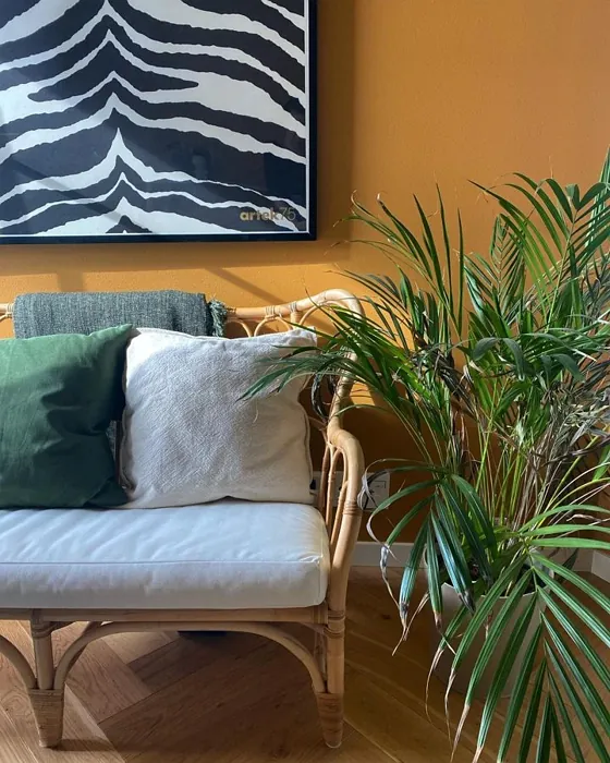 Tikkurila Mehiläisvaha olohuone väriarvostelu